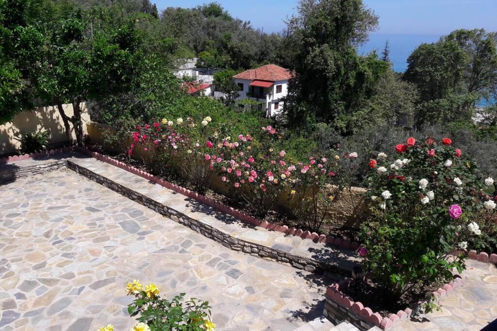Eleni'S House Chorefto ซาโกรา ภายนอก รูปภาพ