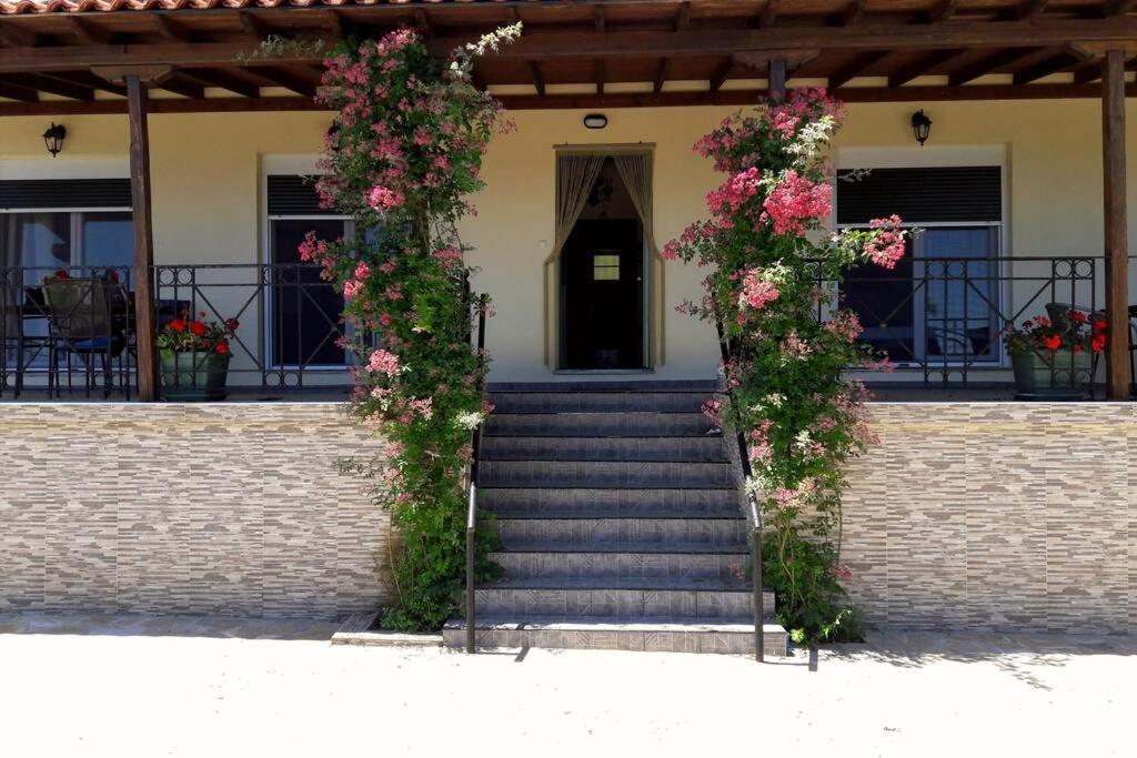 Eleni'S House Chorefto ซาโกรา ภายนอก รูปภาพ